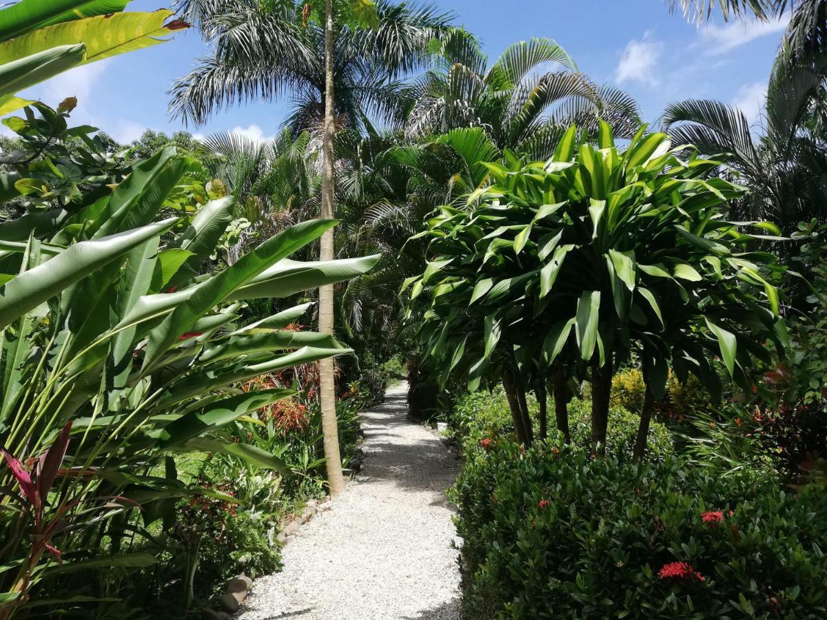 Mundo Goub'Art Bed & Breakfast Cabuya  Dış mekan fotoğraf