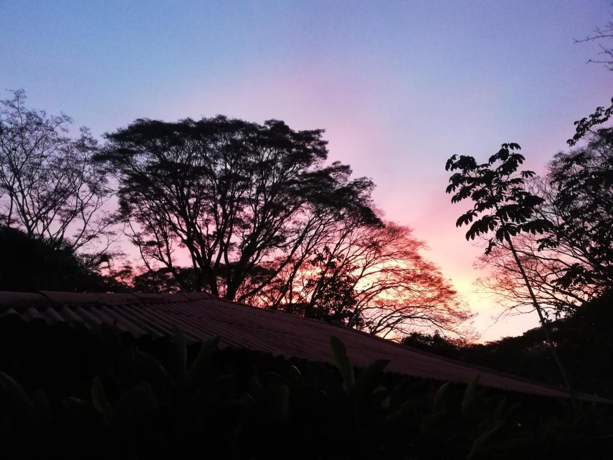 Mundo Goub'Art Bed & Breakfast Cabuya  Dış mekan fotoğraf